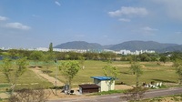 노인세대 최고의 건강운동 파크골프